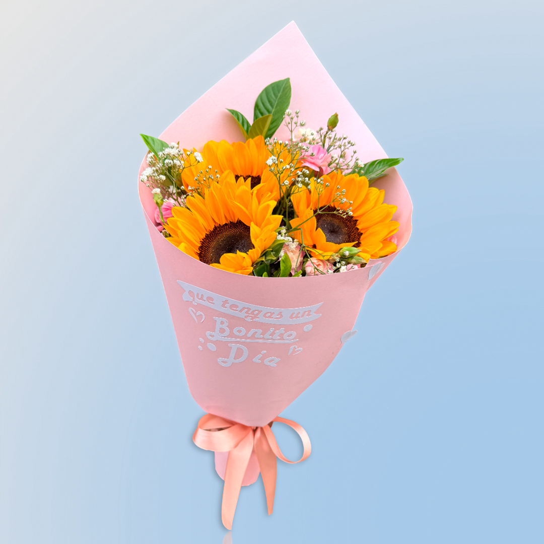 girasoles-bonito-dia