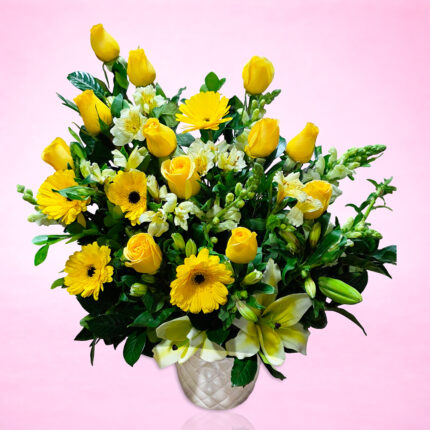 Arreglo Yellow